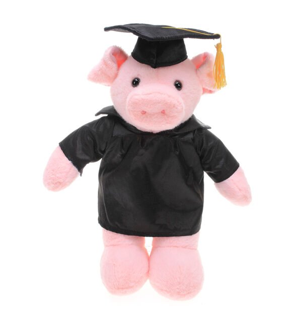 Custom Pig Graduation Plush - 12” - Image 5