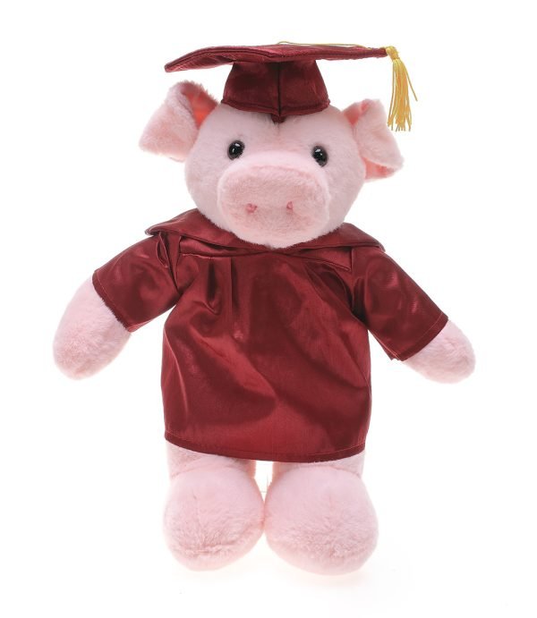 Custom Pig Graduation Plush - 12” - Image 4