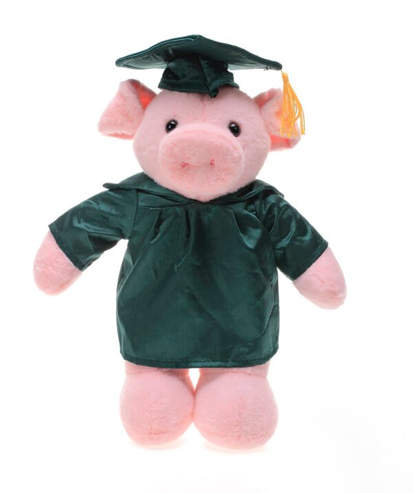 Custom Pig Graduation Plush - 12” - Image 3