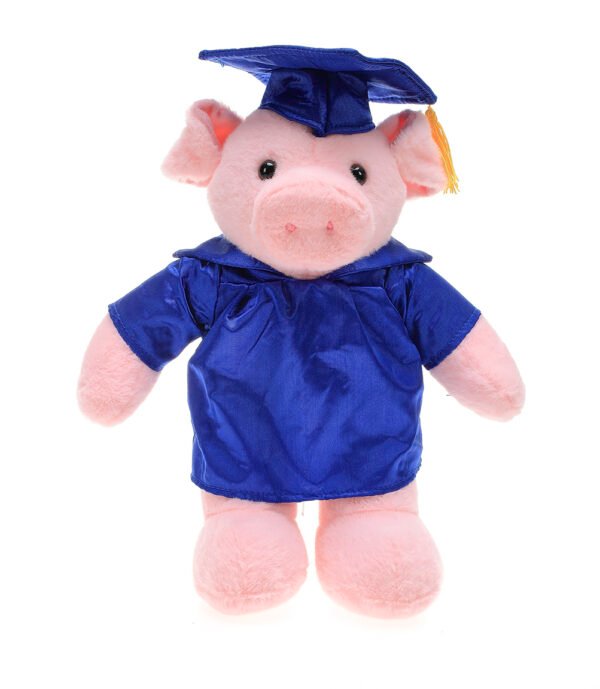 Custom Pig Graduation Plush - 12”